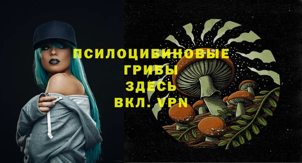 метадон Арсеньев