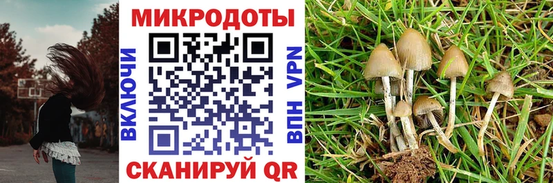blacksprut tor  цена наркотик  Урюпинск  Галлюциногенные грибы мухоморы 